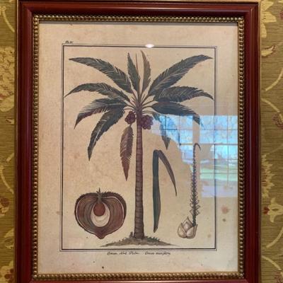 Botanical Print