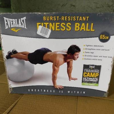 Everlast Burst Resistant Fitness Ball
