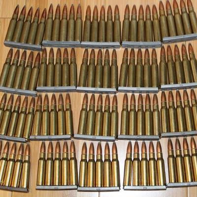 100 Rounds of Ammo (308