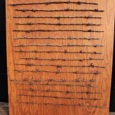 Decorative Barbed Wire Display - Nice For a Man Ca ....