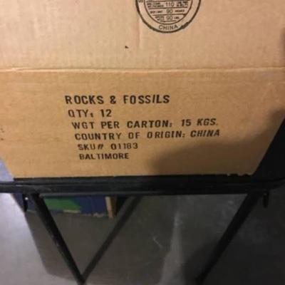 Case of 12 Rocks and Fossils 288 pgs
