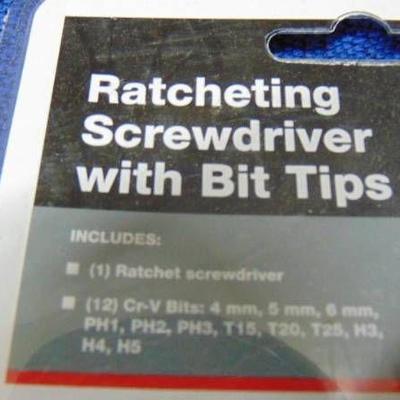 Ratcheting screwdriver w tips NEW!
