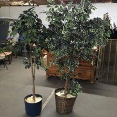 Two Potted Faux Trees