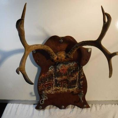 Deer antler coat rack man cave decor