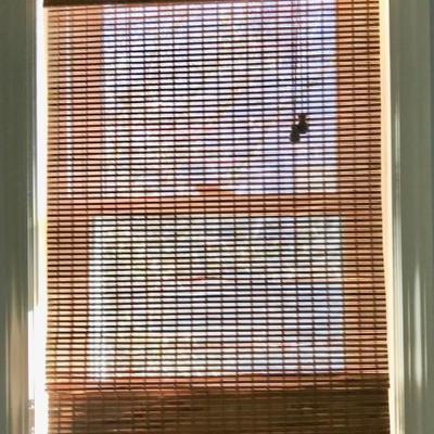 Bamboo shade $35