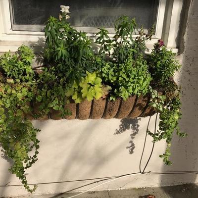 Hayrack $48