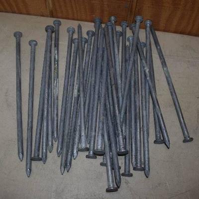 32 Galvanized Steel Spike Nails..