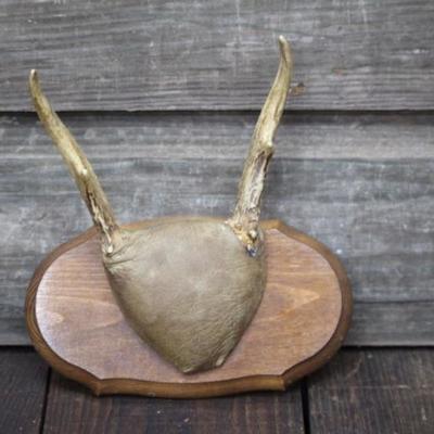 Antlers