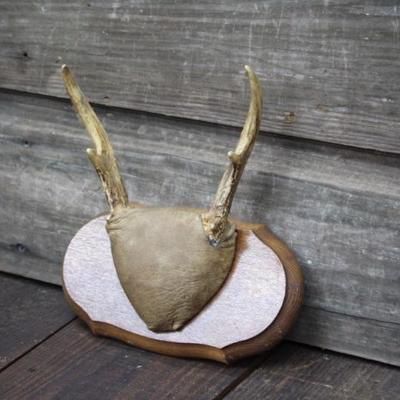 Antlers