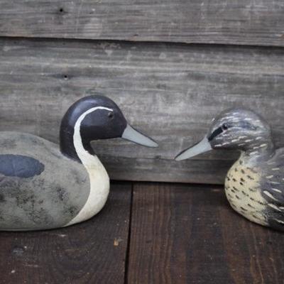 Wooden Ducks