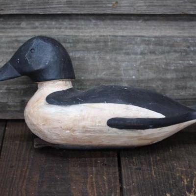 Duck Decoy