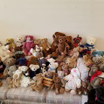 Bear Collections