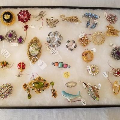 Brooches with Glass Display Case