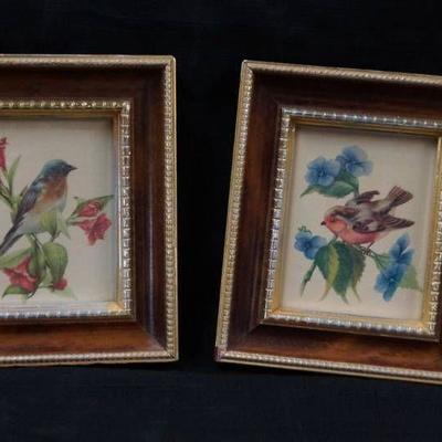 2 Beautiful Bird Framed Pictures