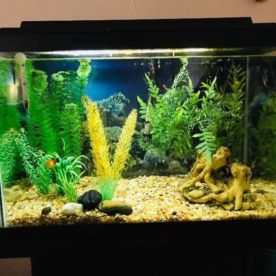 Beatiful glass aquarium with fishes   $95