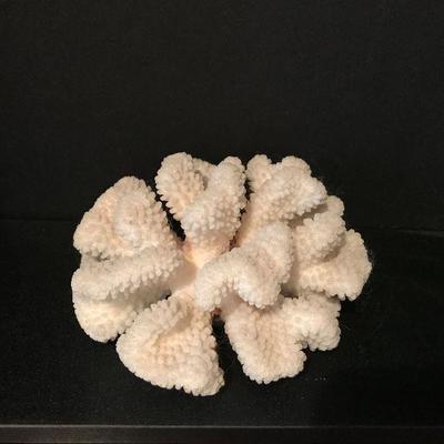 White coral finger. $35