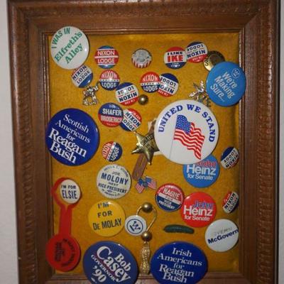 Presidential Campaign  Pins