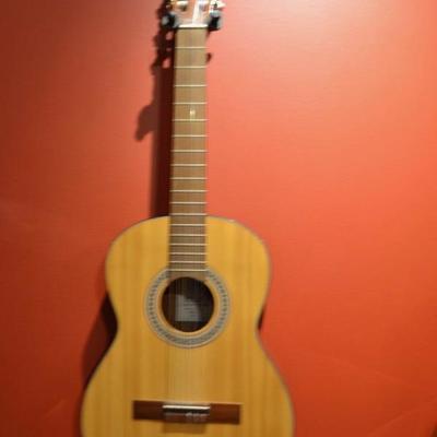 Strunal acoustic guitar