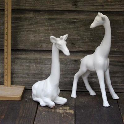 Giraffes