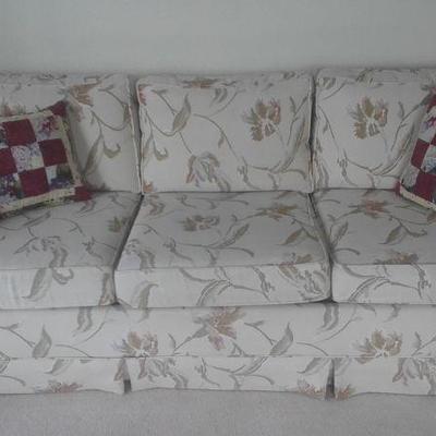 Sleeper Sofa, great condition