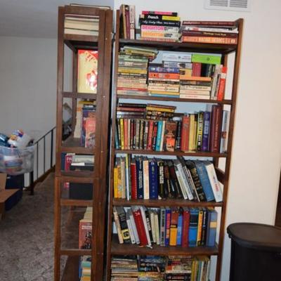Book Shelves & Books