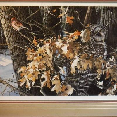 Wild wings Winter oaks Barred owl and finch print ....