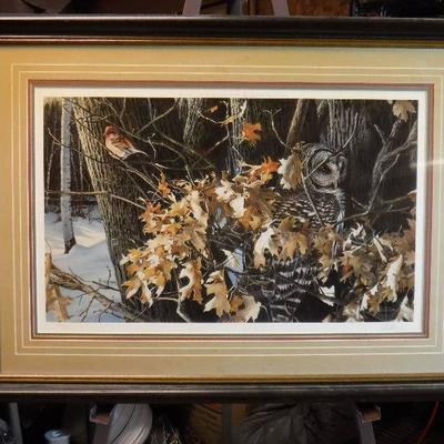 Wild wings Winter oaks Barred owl and finch print ...