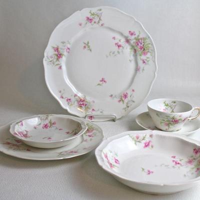 place setting included in the count of Haviland china