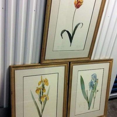 WHF059 Framed Botanical Art Prints 