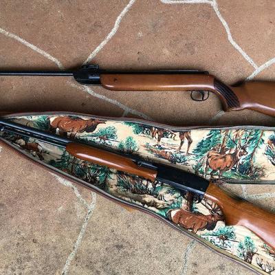 [bottom] Remington 552 Speedmaster .22 @ $250     
[top] Air gun. RWS Diana Model 36. 22 caliber. $100