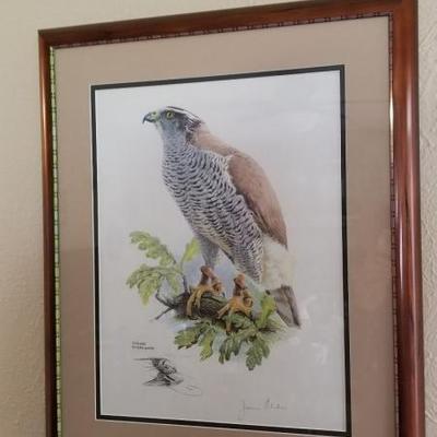 James Alder Bird Print  $40