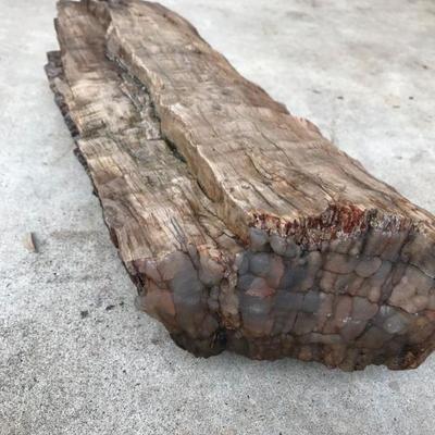 Large petrified wood. $75