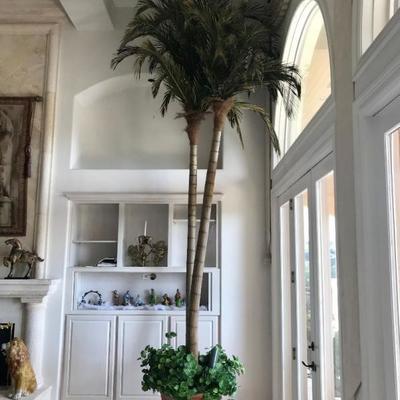 19-foot palm tree. Lighted at the bottom. Gorgeous with lit. $150.
