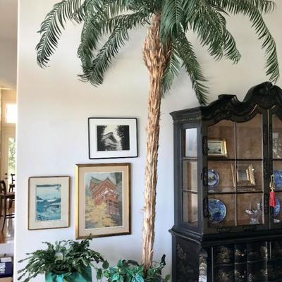 10-foot palm tree. $100