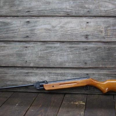 Pioneer pellet rifle