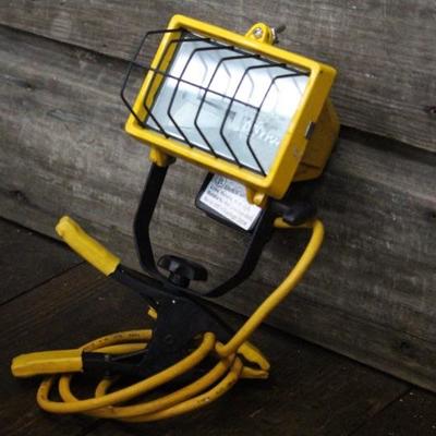 Portable light