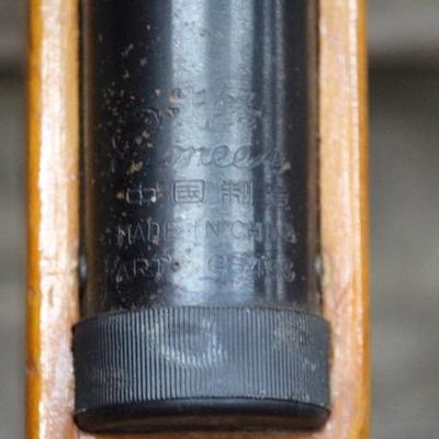 Pioneer pellet rifle