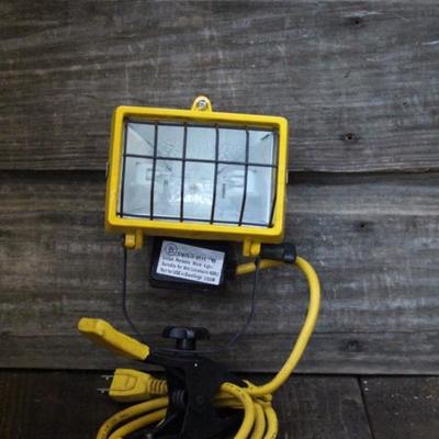 Portable light
