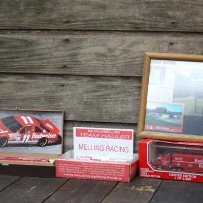 Bill Elliott Lot