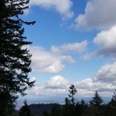View from the estate sale :)
