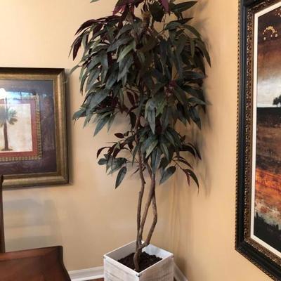 Faux Tree in Square White Wood Container - $150