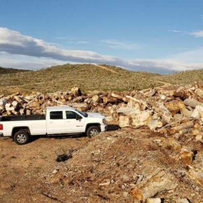 #23: Massive Pile of Not Split Firewood
Largest diameter is 4' and longest piece measures approximately.
1 ton truck for scale, not...