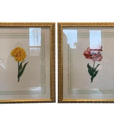 Pair of Floral Frames. 