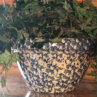  Robinson Ransbottom pottery 