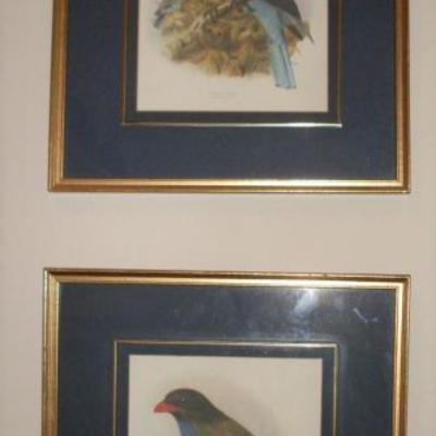 2 FRAMED BIRD ART
