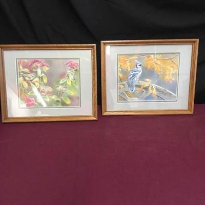 Framed Watercolor Birds Set of 2