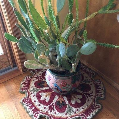 Cactus Plant includes rug