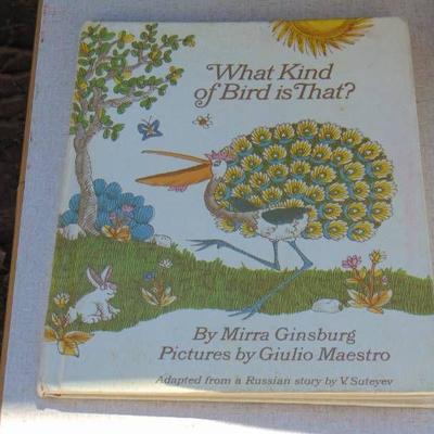 Vintage Kids Book What kind of Bird is That