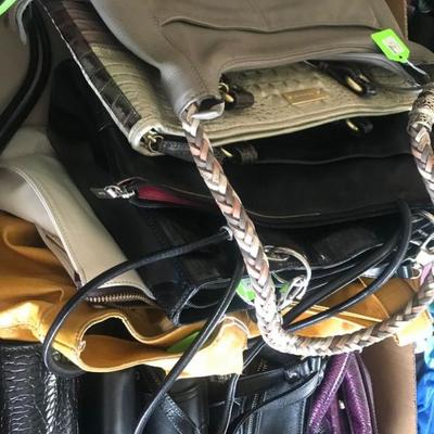 Ladies Purse Collection 