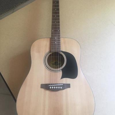 Lyon by Washburn guitar